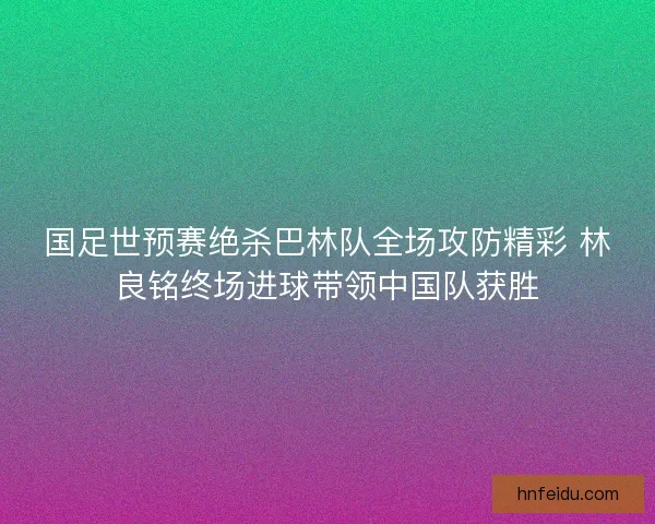 国足世预赛绝杀巴林队全场攻防精彩 林良铭终场进球带领中国队获胜