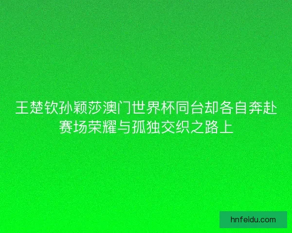 王楚钦孙颖莎澳门世界杯同台却各自奔赴赛场荣耀与孤独交织之路上